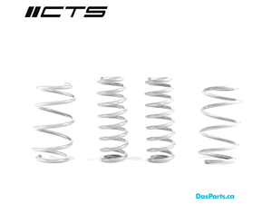 CTS Turbo Lowering Springs